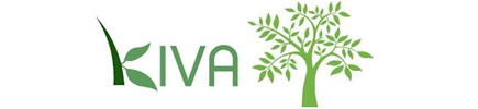 kiva