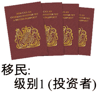How can an overseas investor get a British passport