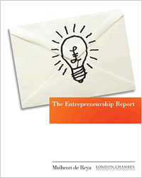 The Entrepreneurship Report