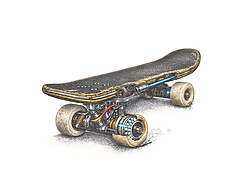 skateboard art on a white background