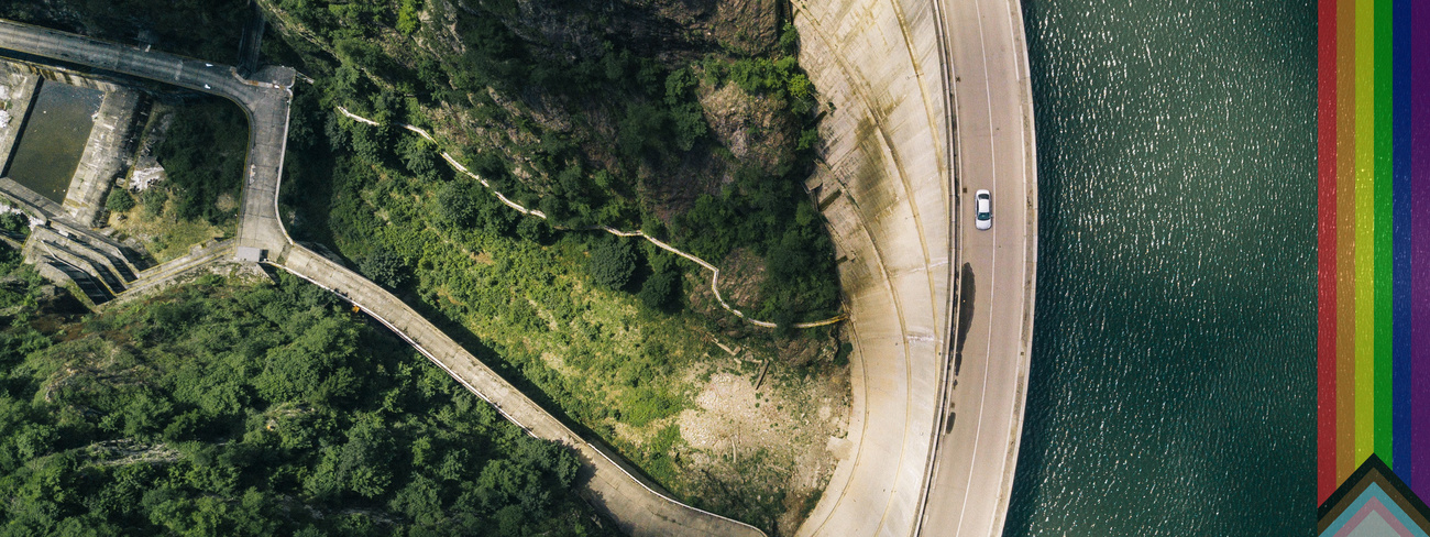 Birds eye view of green land and road