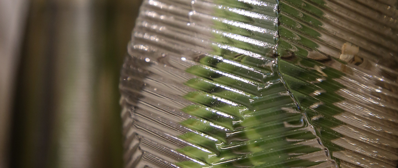 vases with flowers