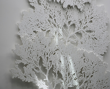 a white tree cut out