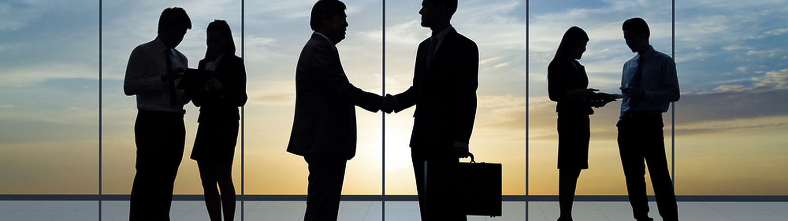 Business Shapers - Business Networking - June 2013