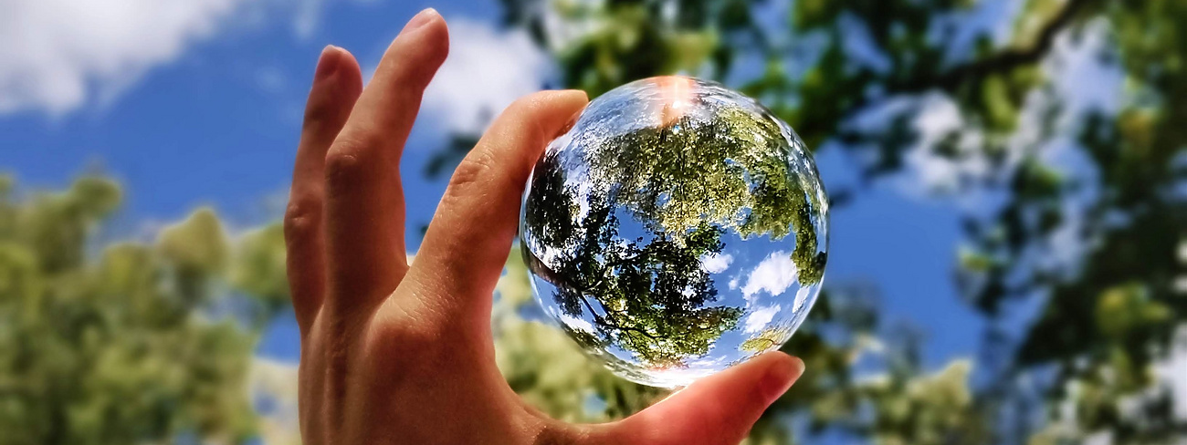 Trees Captured in Glass Ball Held in Fingers