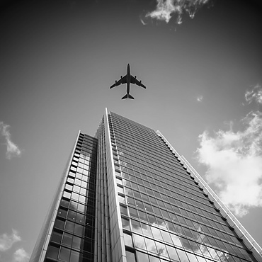 London Plane Building