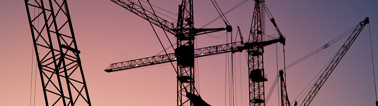 a group of cranes at sunset