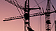 a group of cranes at sunset