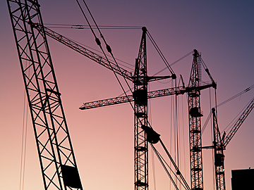 a group of cranes at sunset