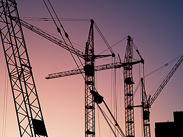 a group of cranes at sunset