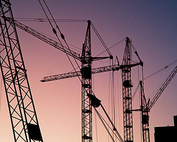 a group of cranes at sunset