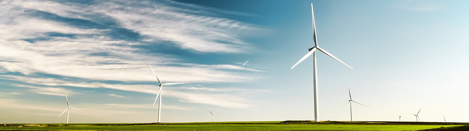 Wind turbines in field under blue sky