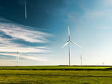 Wind turbines in field under blue sky
