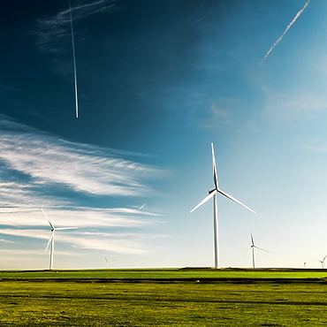 Wind turbines in field under blue sky