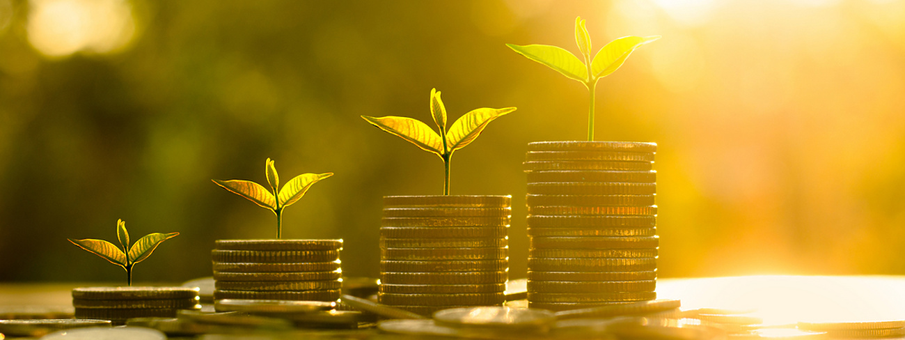 stacked coins with leaves growing on them