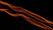 orange lights on a black background