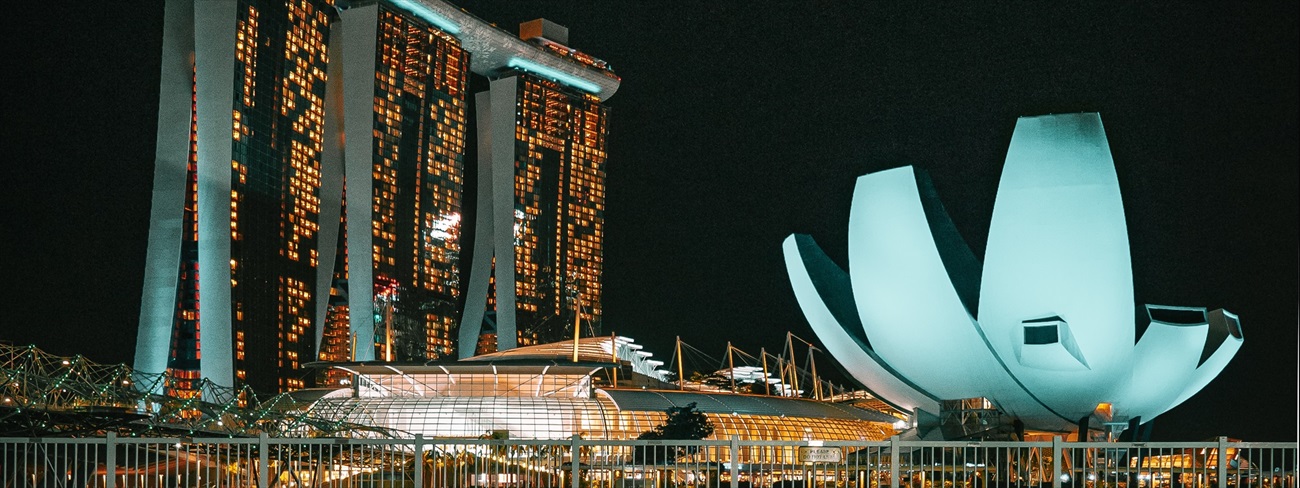 View of Marina Bay Sands at night