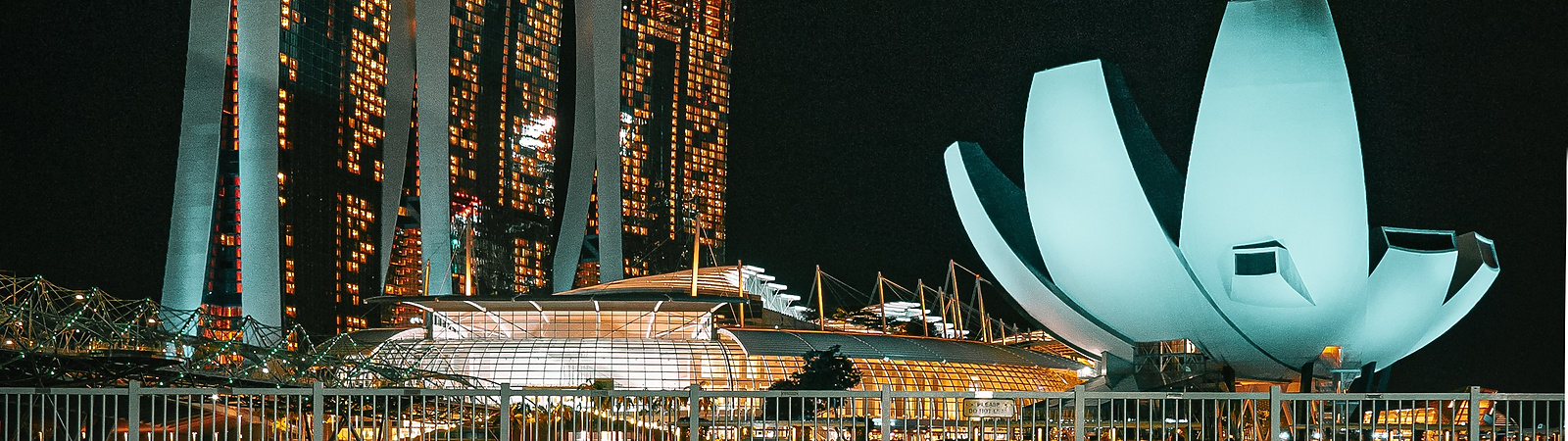 View of Marina Bay Sands at night