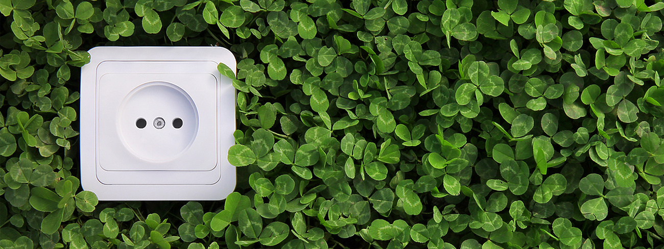 Electrical socket in bush