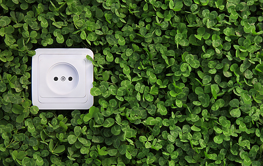 Electrical socket in bush