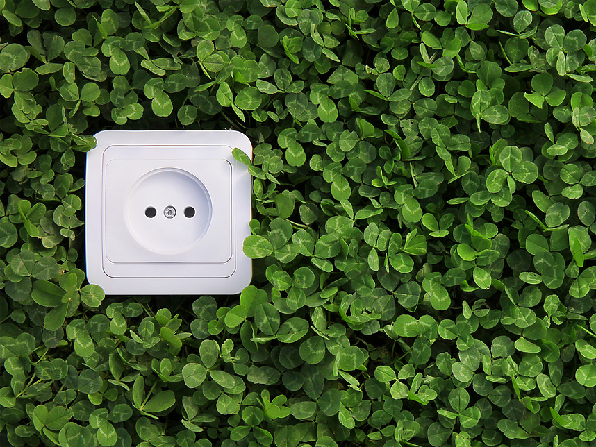 Electrical socket in bush