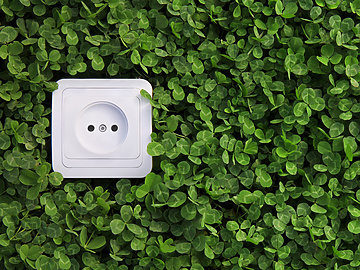 Electrical socket in bush