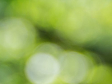 a blurry green and white background