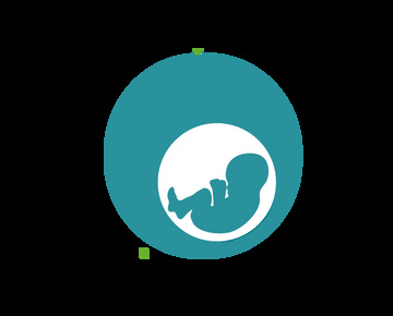 Human Fertilisation and Embryology Act 2008 (Remedial) Order 2018