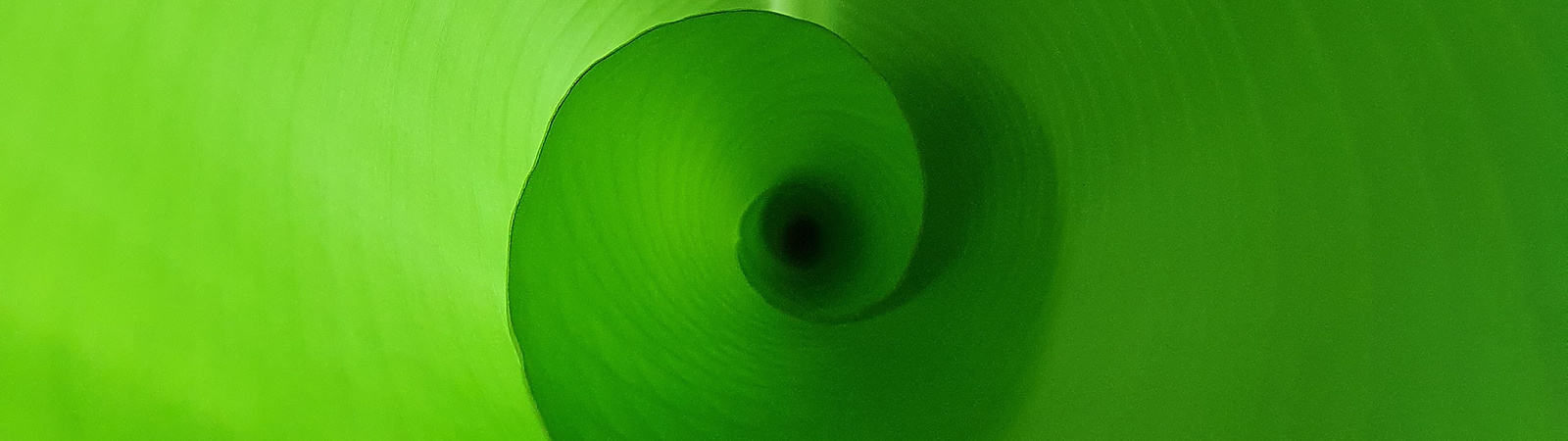 a close up of a green leaf