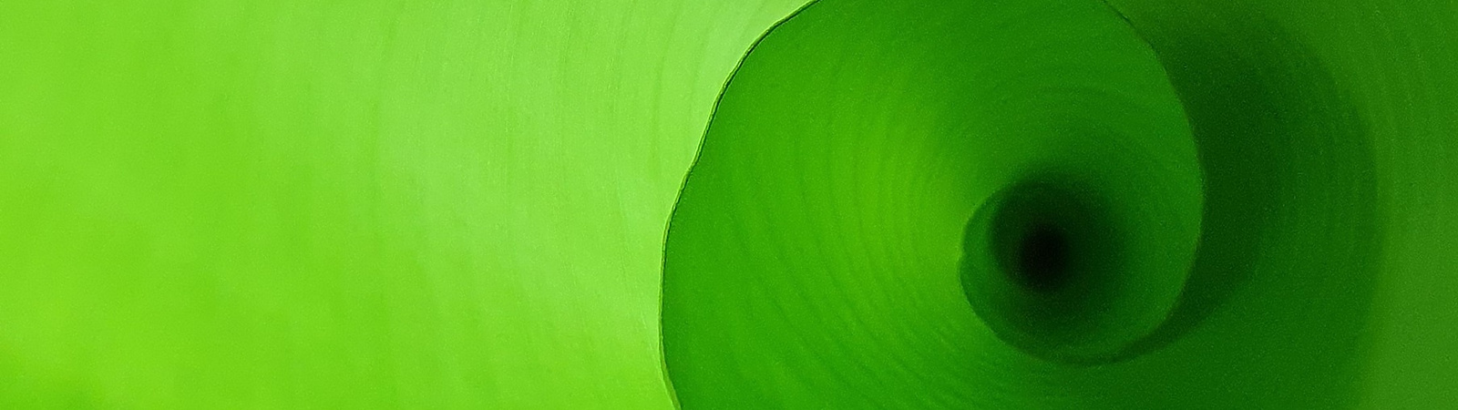 a close up of a green leaf