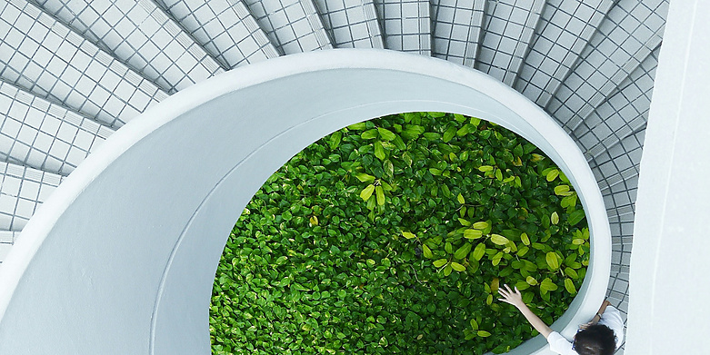 Renew Risk Secures £5 Million Investment for Renewable Energy Innovation