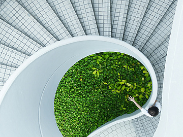 interiors green plants abstract