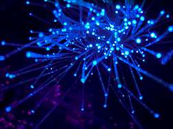 technology ai blue