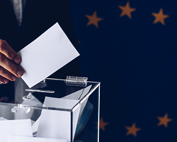 Brexit and the European Elections