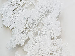 Africa house client lounge