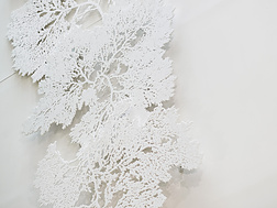 a white object with a white background