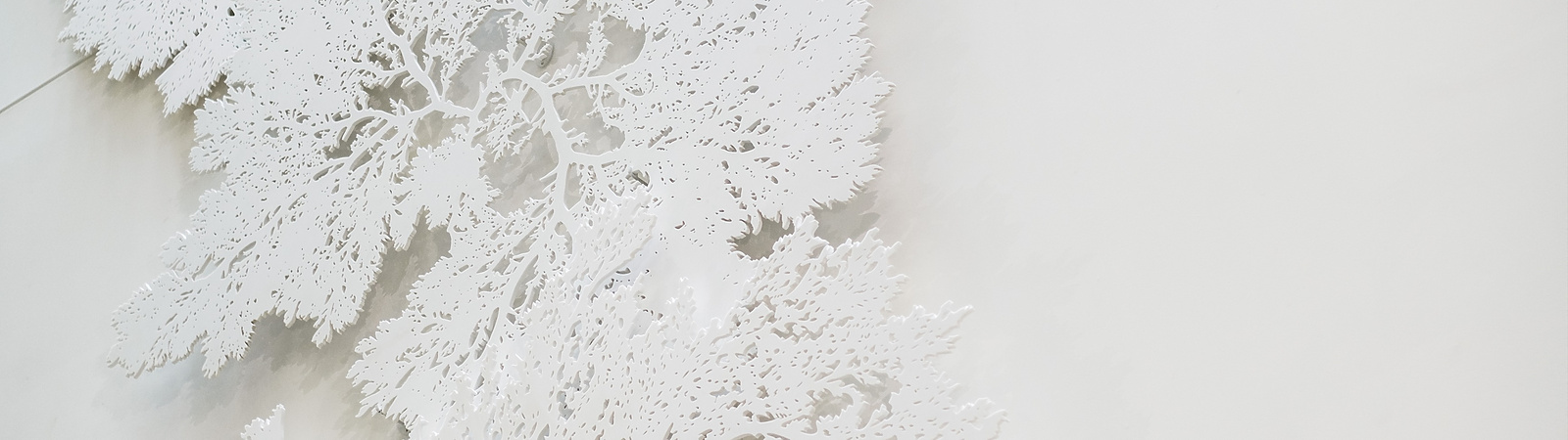 a white object with a white background