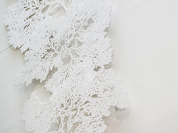 a white object with a white background