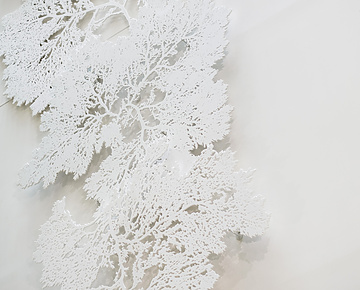 a white object with a white background