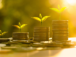 coins stacked with leaves growing on them