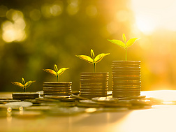 coins stacked with leaves growing on them