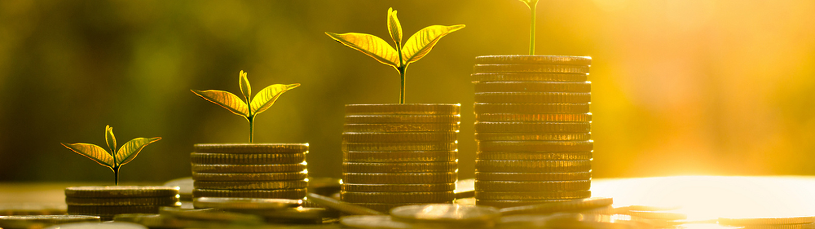 coins stacked with leaves growing on them
