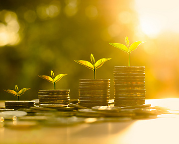 coins stacked with leaves growing on them