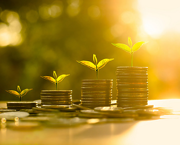 coins stacked with leaves growing on them