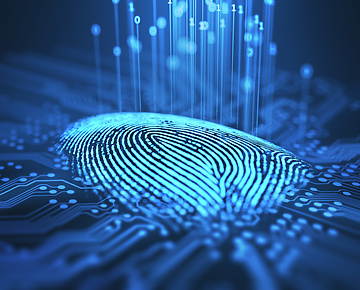 a fingerprint on a circuit board