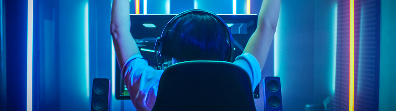 The ESI Podcast on image rights