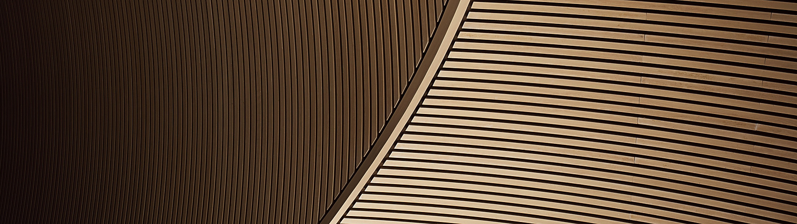 abstract lines