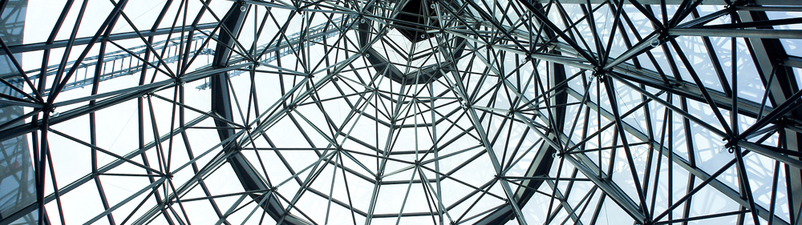 Roger or Tiger – which are you?