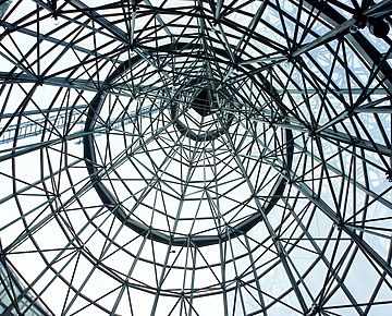 Roger or Tiger – which are you?