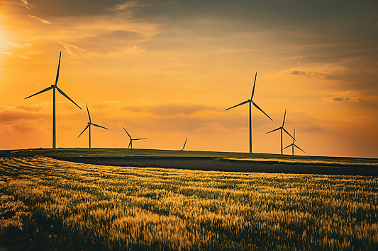 a field of grass with windmills in the distance